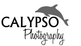 Calypso Photography
